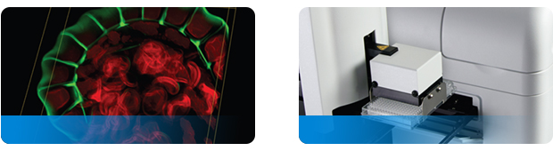 微孔板檢測與細(xì)胞分析解決方案 微孔板檢測與細(xì)胞分析解決方案