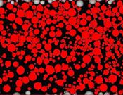 圖片包含 游戲機(jī), 建筑描述已自動(dòng)生成