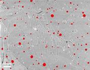 人在雨里低可信度描述已自動(dòng)生成