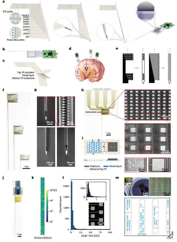 【Nature子刊】Brainsight智能動物手術機器人幫助科學家實現(xiàn)獼猴全腦神經(jīng)活動監(jiān)測