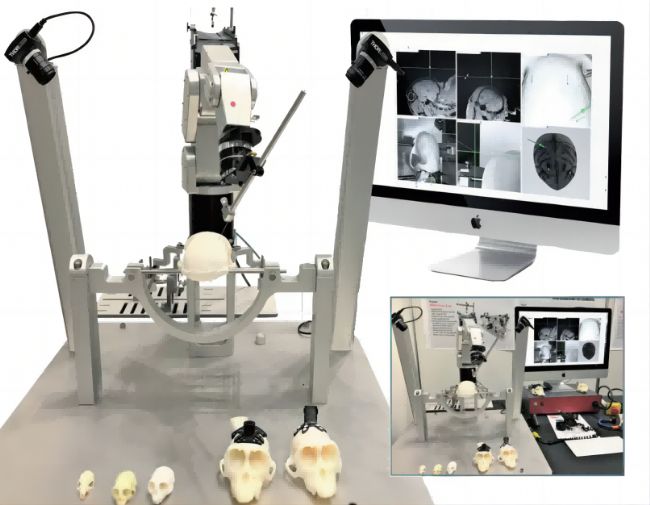 【Brainsight客戶文章】北京大學段小潔課題組實現(xiàn)獼猴全腦神經(jīng)活動監(jiān)測