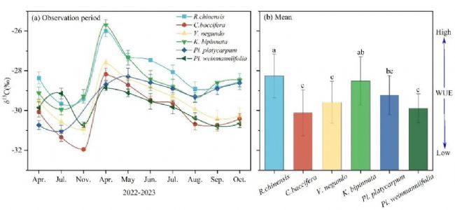 LI-2100在喀斯特石漠化地區(qū)植物水分利用研究中的應(yīng)用 理加聯(lián)合-市場部 理加聯(lián)合