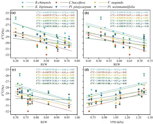 LI-2100在喀斯特石漠化地區(qū)植物水分利用研究中的應(yīng)用