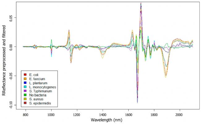 ASD | ASD地物光譜儀在鑒定細(xì)菌生物膜方面的應(yīng)用