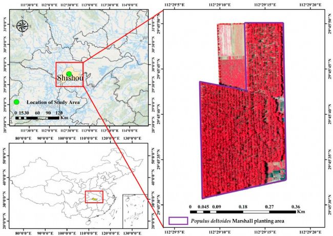 300TC | 機載高光譜成像儀助力美洲黑楊健康監(jiān)測