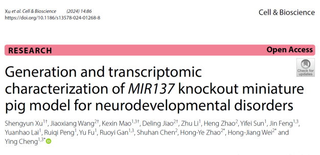 云南大學(xué)程郢課題組建立并轉(zhuǎn)錄組分析人類神經(jīng)發(fā)育障礙小型豬模型