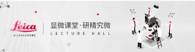 顯微課堂 | 偏振光顯微鏡影像圖集