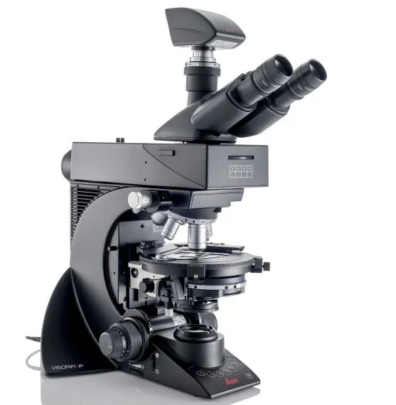 顯微課堂 | 偏振光顯微鏡影像圖集