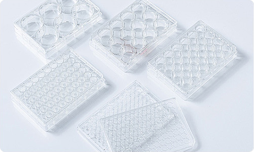 新品上市 | 動態(tài)細胞成像儀