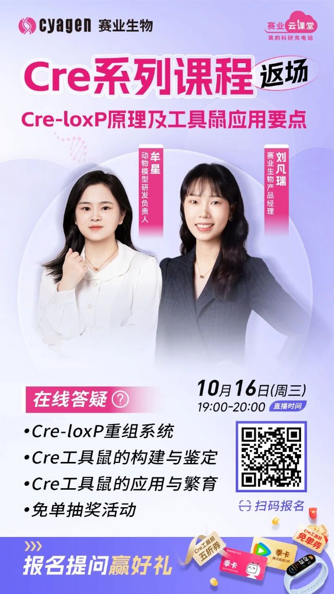 Cre-loxP原理及工具鼠應(yīng)用要點(diǎn)