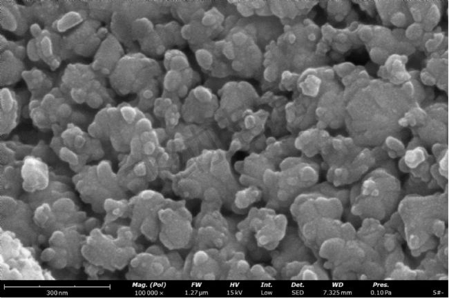 催化劑 100,000x(掃描電鏡SED圖像)