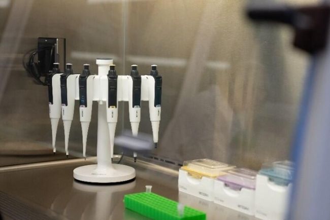 ڳ_(ti)еFlex֧ϴ6֧SWITCH(dng)Һ